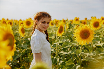 woman with pigtails in a field of sunflowers flowering plants