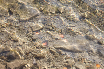 Beautiful clear water with small rocks on the bottom.