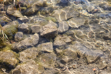 Beautiful clear water with small rocks on the bottom.