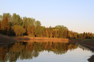 Glow Of May Evening On Lake, Gold Bar Park, Edmonton, Alberta