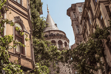 Galata tower behind plants and between different buildings.