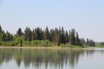 Fototapeta na wymiar Spring Time On The Lake, Elk Island National Park, Alberta