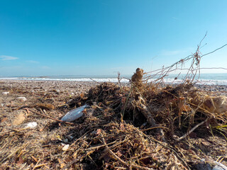Spilled garbage on the beach of the big city. Empty used dirty plastic bottles. Dirty sea sandy shore. Environmental pollution. Ecological problem.