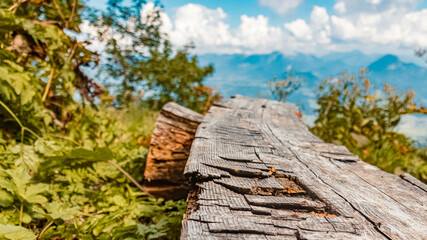 Beautiful alpine summer view with details of a wooden bench at the famous Purtschellerhaus near Berchtesgaden, Bavaria, Germany