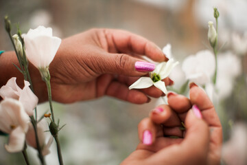 Hand of gardener holds seedling of small apple tree in her hands preparing to plant it in the ground. Tree planting concept. High quality photo