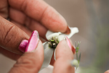 Hand of gardener holds seedling of small apple tree in her hands preparing to plant it in the ground. Tree planting concept. High quality photo