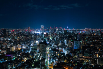 東京都 恵比寿ガーデンプレイスタワーからの夜景 渋谷方面