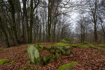 Steinkistengrab auf dem Hartberg bei Schankweiler