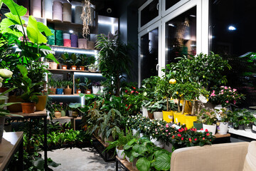 Fototapeta na wymiar flower shop selling potted plants