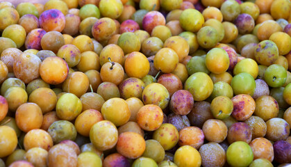 Mirabelles fruits mirabelle plum fruit background