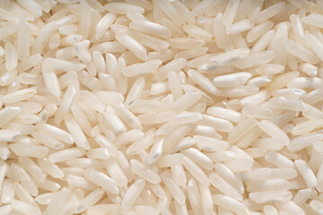 Detailed and large close up shot of rice grain.