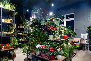 Fototapeta na wymiar interior of a modern stylish premium loft style flower shop with potted plants
