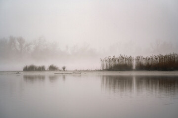 Delta del pò di Goro