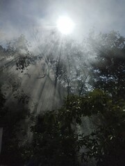 Survival of mankind without nature is impossible and humans need to understand that.Every form of...