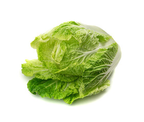 Whole Chinese Cabbage, Napa Cabbage or Wombok