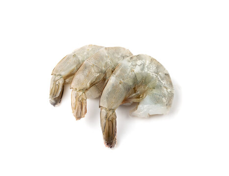 Fresh Shrimp Tails Isolated
