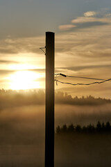 An old telephone wire post in backlight with the sun rising over a misty forest in the background