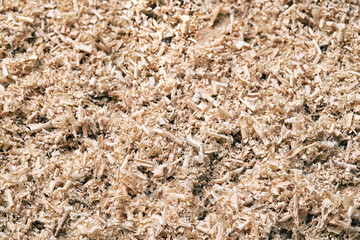 Closeup of wood shavings