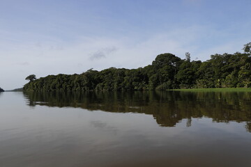 nature landscape in tortuguero costa rica
