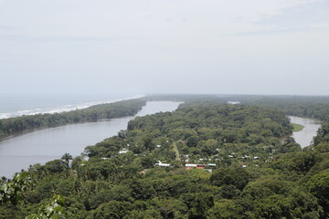 nature landscape in tortuguero costa rica