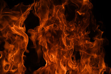 Fire flame. Burn lights on a black background.