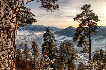 Snowy conifer trees in forest. View from hill Cebrat in Great fatra mountains on town Ruzomberok, Slovakia