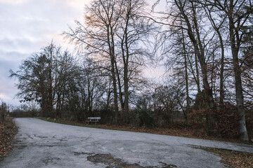 Panoramic sunset view of a bench and a path inside a forest in Luxembourg in winter