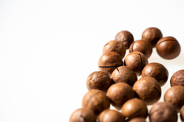 macadamia nut on white background