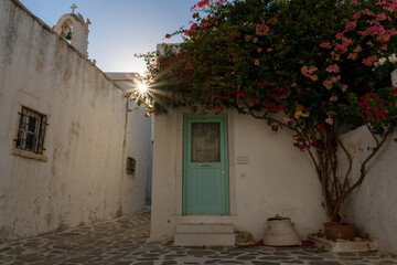 Sunset in Parikia with a red Bougainvillea in front, Paros, Greece