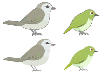 うぐいすとメジロのベクターアイコン