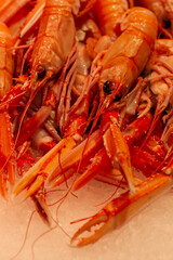 Seafood store, fresh cooked Norway lobster (Nephrops norvegicus), selective approach.