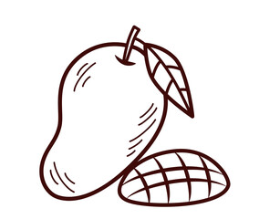 Vector mango in outline style, icon of mango fruit, illustration of whole and slice mango with leaf