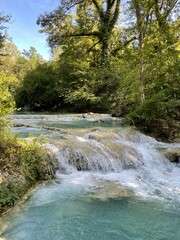 Obraz premium waterfall in the woods