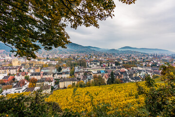 Obraz premium Freiburg im Breisgau – Blick auf die Altstadt