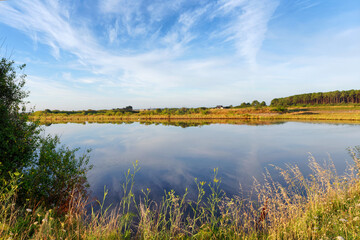 Fototapeta na wymiar Guerande salt marsh in the Loire-atlantique coast 