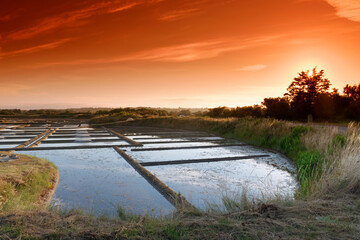 Guerande salt marsh in the Loire-atlantique coast 
