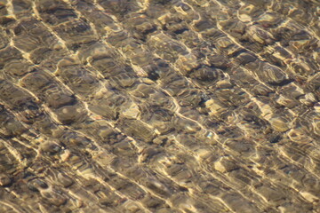 Fototapeta na wymiar The water surface of the lake on a summer day.