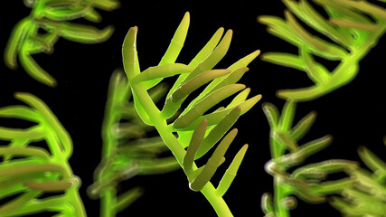 3d rendered illustration of penicillium