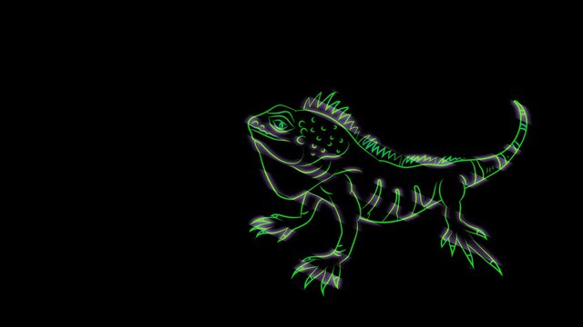 Animation. An image of an iguana on a black background. Neon light, banner.