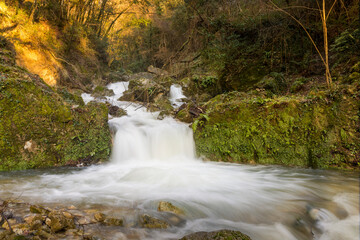 stream in the woods with sunbeams