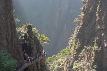 Marvellous Rockmountain