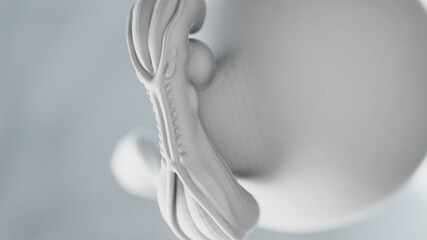 3d rendered illustration of an abstract human fetus - week 5