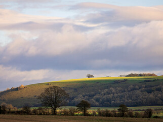 View from the roadside of Fovant down and Hydon Hill on the west Wiltshire Downs Cranbourne Chase south west England