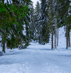 Magic atmosphere from a snowy landscape