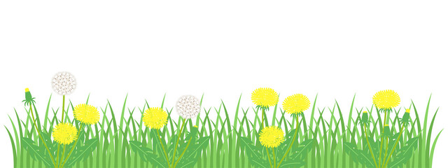 タンポポのおしゃれなイラスト