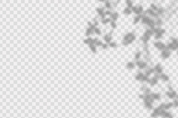 Realistic shadow tropic leaves and branches on transparent checkered background.