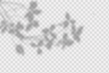 Realistic shadow tropic leaves and branches on transparent checkered background.
