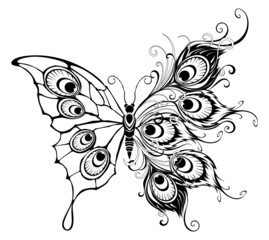 Butterfly with peacock feathers