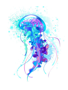 Big blue jellyfish