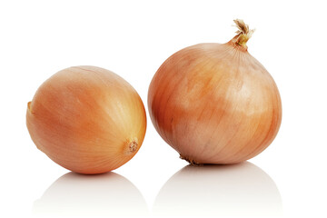 Two onions of ripe juicy onion